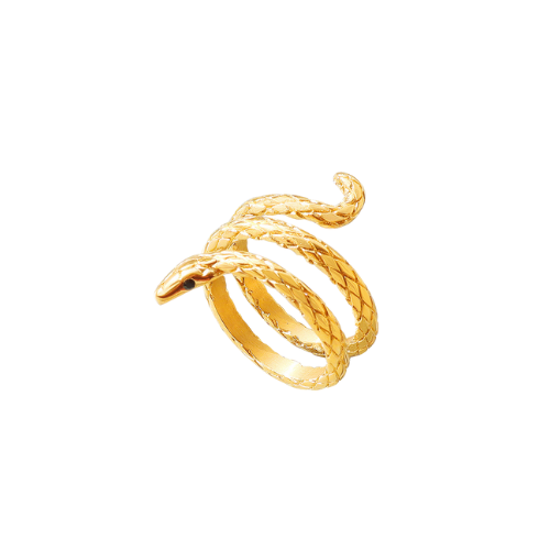 ‘Protect you’ 18k gold plated ring | Snake Ring | Tarnish free & waterproof | Pretty Bosses