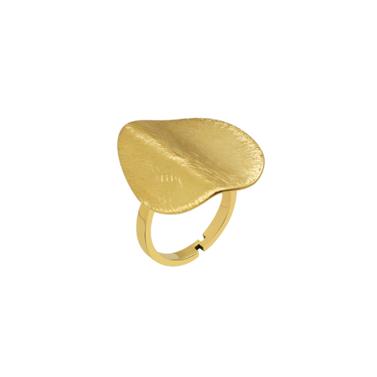 ‘Gift of me’ 18k gold plated ring | Adjustable | Tarnish free & waterproof | Pretty Bosses